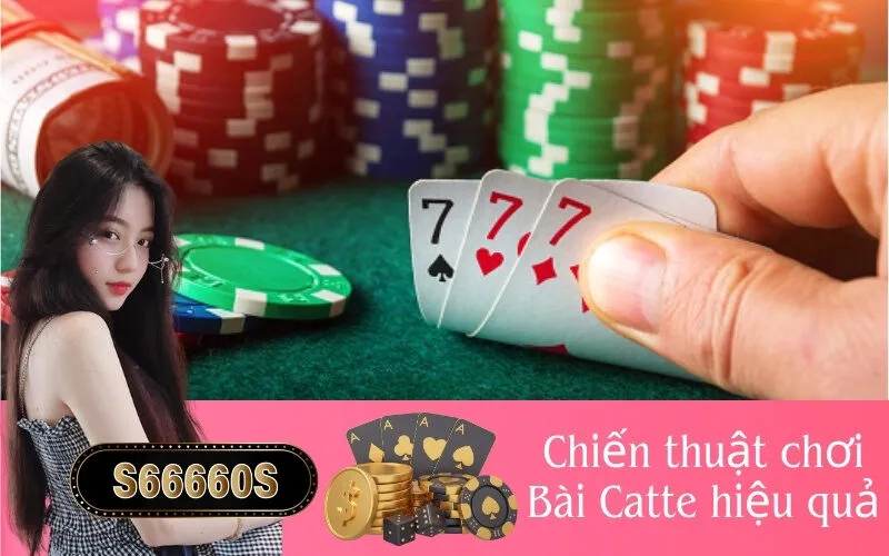 Chiến thuật chơi Bài Catte hiệu quả
