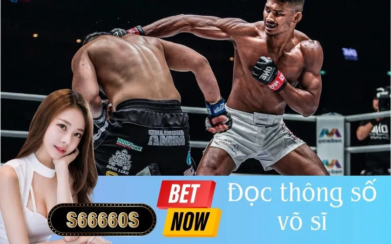 Đọc thông số võ sĩ